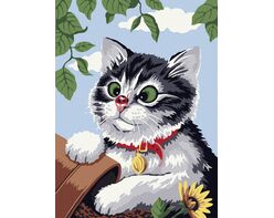 An innocent kitten