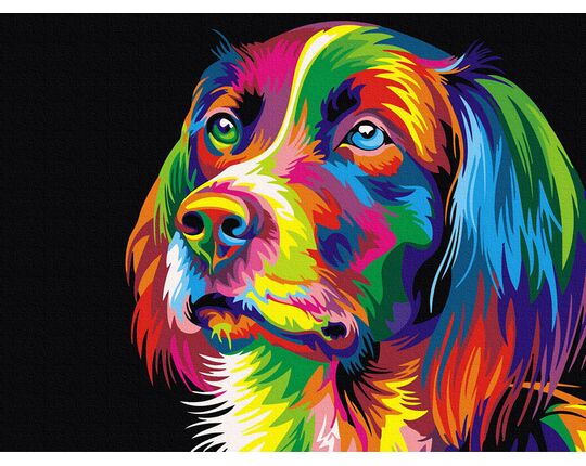 Colorful grace of the dog 40x50cm paint by numbers