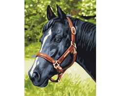 Penalty horse