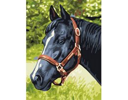 Penalty horse