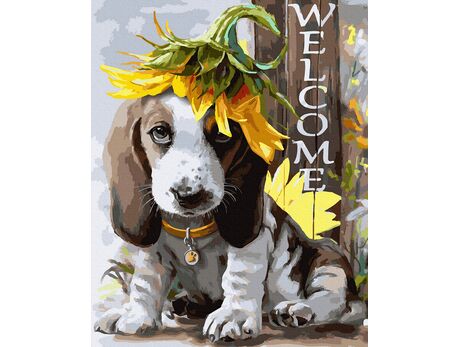 Welcome! paint by numbers