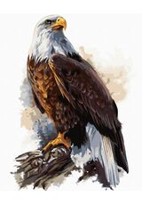 Majestic Eagle