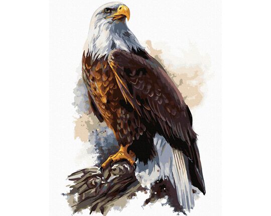 Majestic Eagle paint by numbers