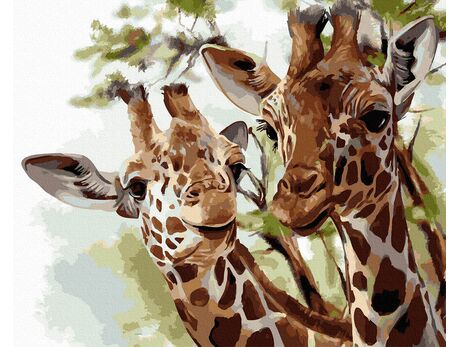Giraffe 40x50cm paint by numbers