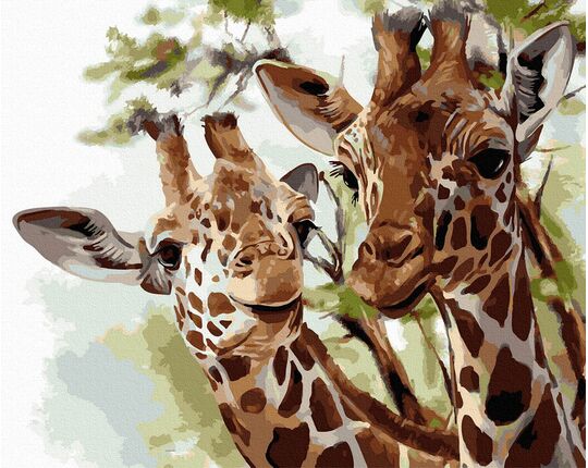 Giraffe 40x50cm paint by numbers
