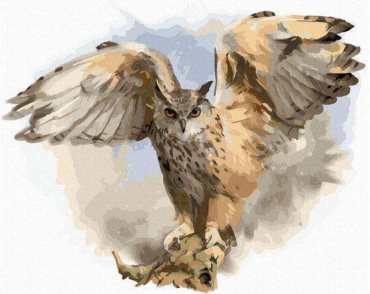 Owl spread wings paint by numbers