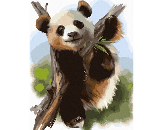 Bamboo bear 40x50cm paint by numbers