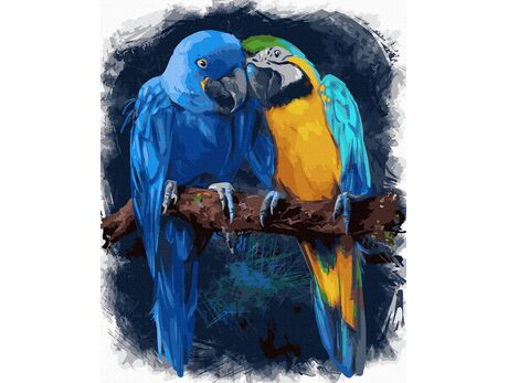 Lovebirds 40x50cm paint by numbers