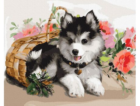 Husky Puppy paint by numbers