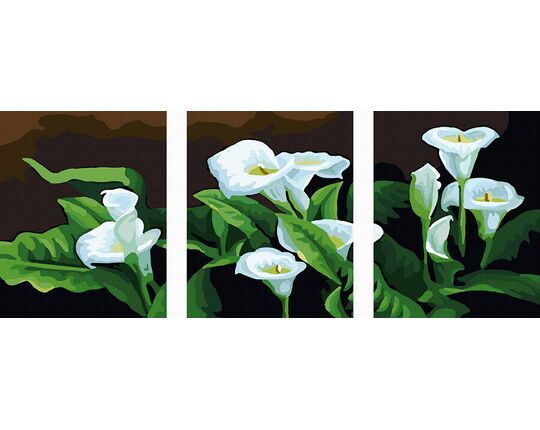White Calla paint by numbers