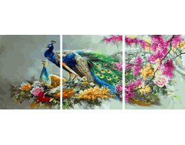 Multicolored peacock family
