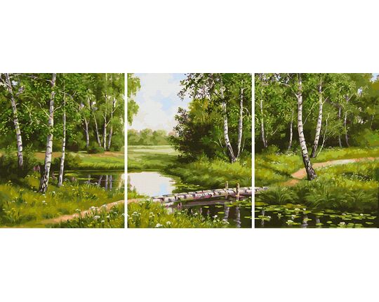 Birch trees by the stream paint by numbers