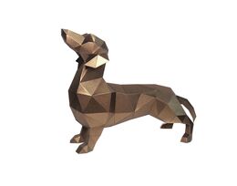 Dachshund Aleks