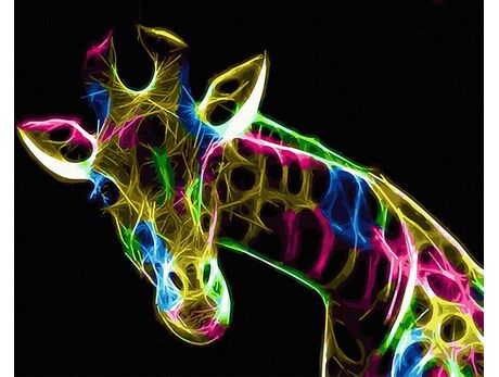 Neon giraffe paint by numbers