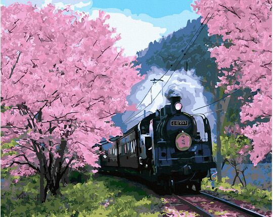 Rushing into the blooming cherry paint by numbers