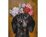 Dachshund in a wreath paint by numbers