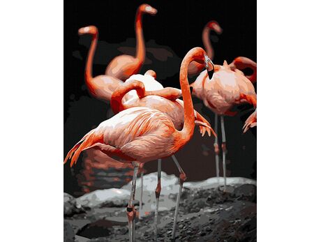 Flamingos paint by numbers