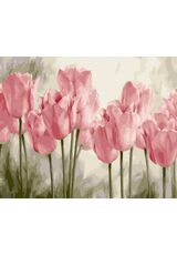 Pink tulips