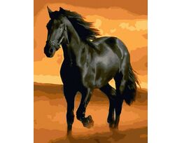 Purebred stallion