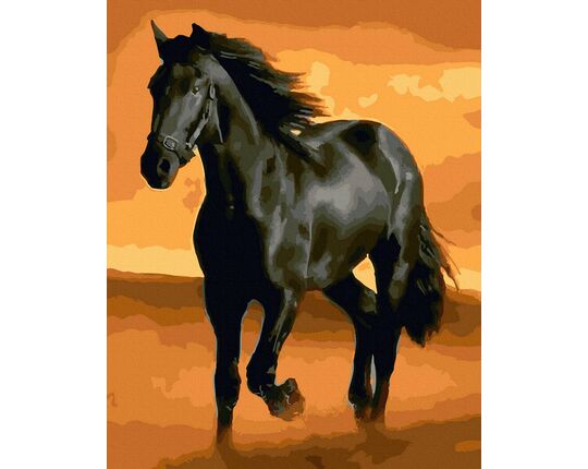 Purebred stallion paint by numbers
