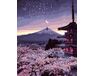 Spring Japanese Nights paint by numbers
