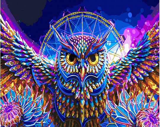 Mesmerizing owl paint by numbers