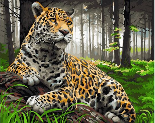The majestic jaguar paint by numbers