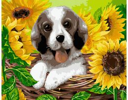 Doggy in sunflowers
