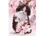 Kitten in flowers 30x40 cm paint by numbers