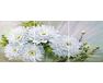 White Peonies 50x120cm paint by numbers