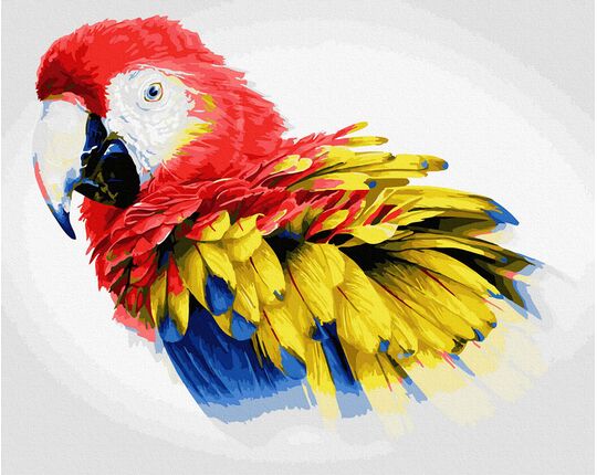 Yellow-winged macaw 40x50 cm paint by numbers