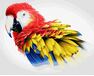 Yellow-winged macaw 40x50 cm paint by numbers