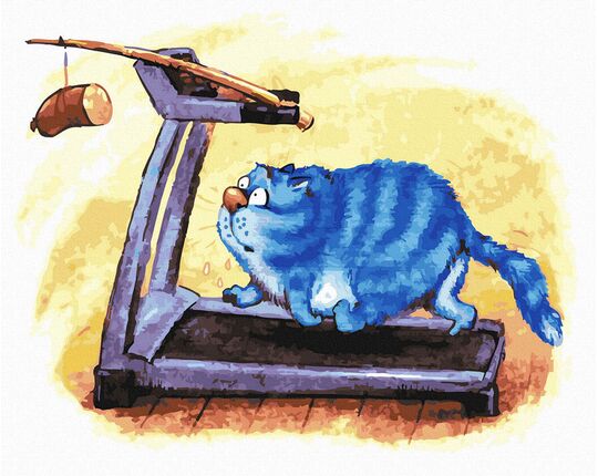 Cat on the treadmill 40x50 cm paint by numbers