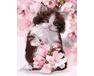 Kitten in flowers 40x50 cm paint by numbers