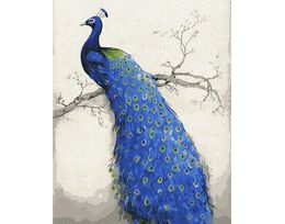 Peacock 40cm*50cm (no frame)