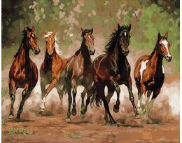 Horse gallop 40cm*50cm (no frame)