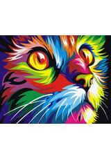 Rainbow cat 40cm*50cm (no frame)