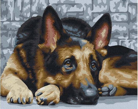Dog's faithfulness 40cm*50cm (no frame) paint by numbers