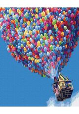 Balloons 40cm*50cm (no frame)