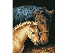 Maternal care 40cm*50cm (no frame)