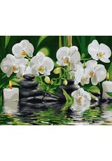 Orchids in quiet water 40cm*50cm (no frame)