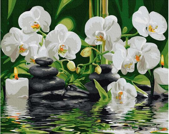 Orchids in quiet water 40cm*50cm (no frame) paint by numbers