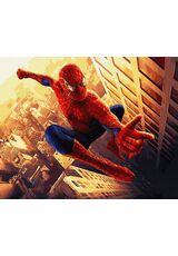 Spiderman 40cm*50cm (no frame)