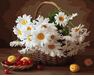 Basket of camomiles 40cm*50cm (no frame) paint by numbers
