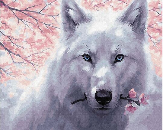 White Wolf 40cm*50cm (no frame) paint by numbers