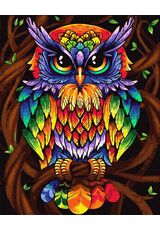 Rainbow owl 40cm*50cm (no frame)