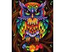 Rainbow owl 40cm*50cm (no frame) paint by numbers