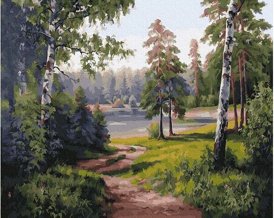 Forest Road 40cm*50cm (no frame) paint by numbers