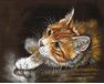 Ginger kitten 40cm*50cm (no frame) paint by numbers