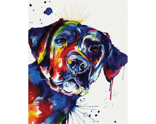 Colorful dog 40cm*50cm (no frame) paint by numbers